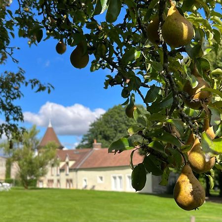 Le Petit Chateau Baye  Екстериор снимка